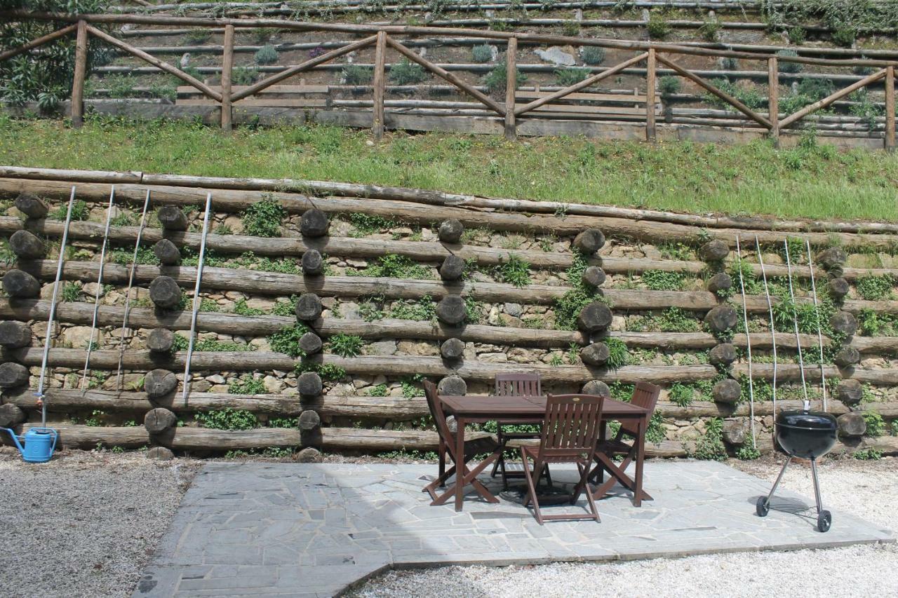 Via Del Barsantino 18 Villa Lucca Ngoại thất bức ảnh